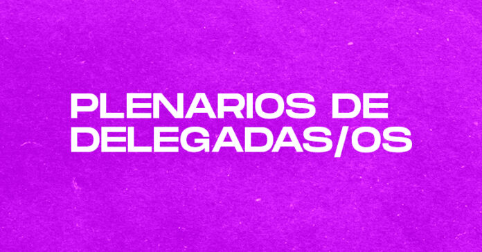 16-02-2024 Plenarios